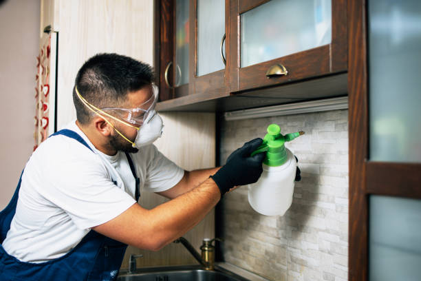 Pest Prevention Services in Lake Telemark, NJ