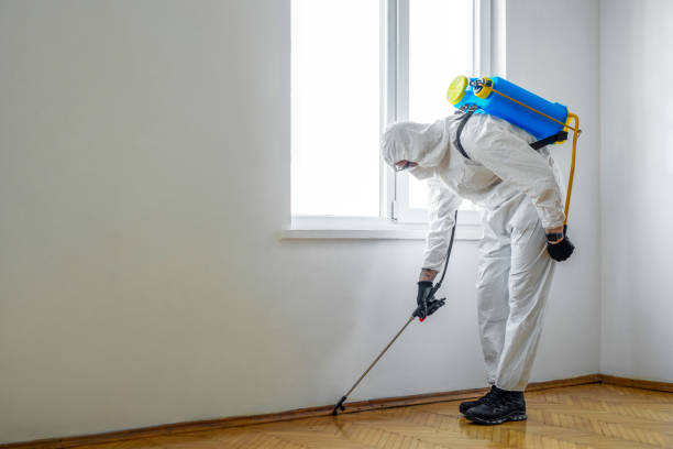 Best Best Pest Control Companies  in Lake Telemark, NJ