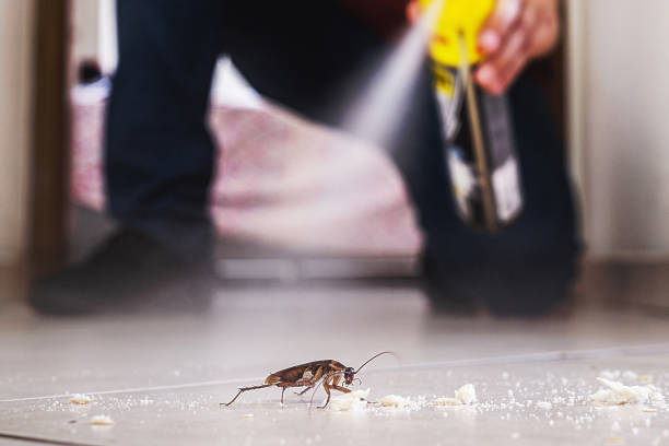 Best Flea Control Services  in Lake Telemark, NJ